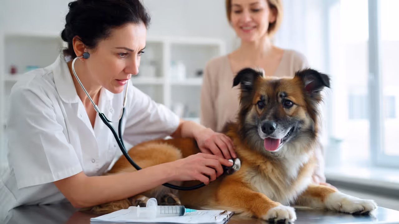 Wellness plans can help cover routine preventive care.